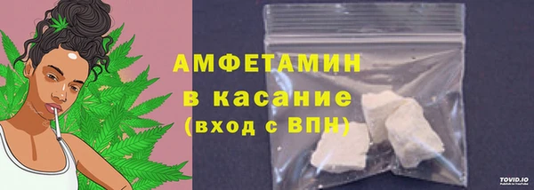 сатива Арсеньев