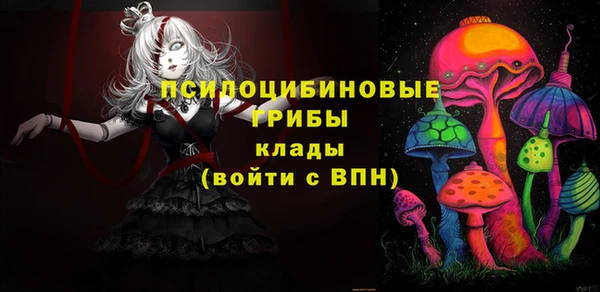сатива Арсеньев